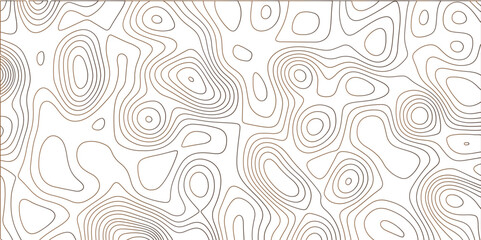 Abstract white background with colorful gradient Topographic line map pattern. Contour elevation topographic and textured Background Modern design with White background with topographic wavy patte.