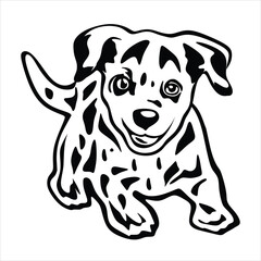 Puppy on black and white vector for illustration and background