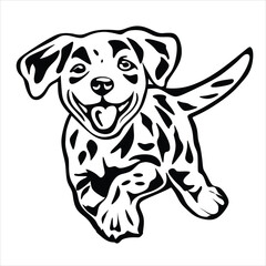 Puppy on black and white vector for illustration and background