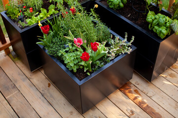 Black metal planter boxes look great on a wooden deck or patio. Growing flowers, herbs and vegetables can be done right out your back door!