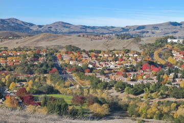 Fototapeta premium Fall colors in the San Ramon Valley in California