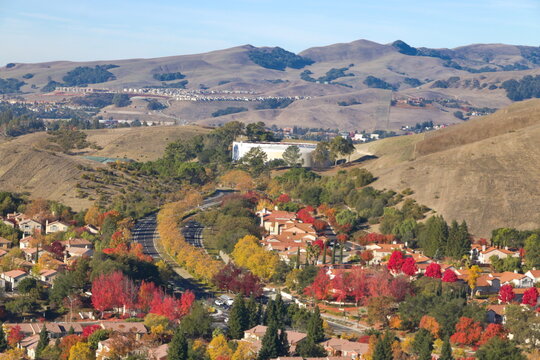 Trees in San Ramon show brilliant fall foliage come mid-November in the San Francisco Bay Region of Northern California