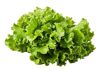 Green lettuce isolated a transparent background.