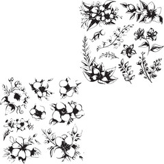 Outline plants set Flowers black silhouette white background