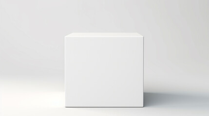 blank white box on white background. front view display