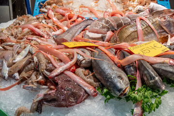 Pile of fish and seafood seen at a market in Barcelona, Spain