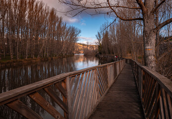 Naklejka premium bridge over the river