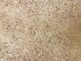 Background of shredded paper strip