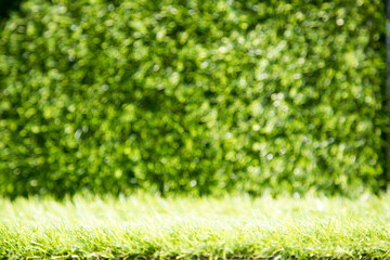 background of green grass turf