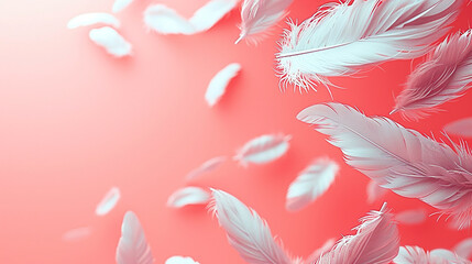 Fototapeta na wymiar pink feather background