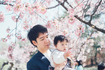 桜を見る赤ちゃんとお父さん