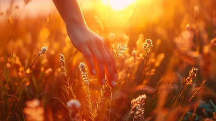 Foto auf Glas Traveling woman's hand caressing meadow under the twilight glow of summer's dense, tall grass, Generative AI. © Electric Wolf
