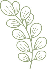 Fototapeta na wymiar leaf Doodle cute for design elements.