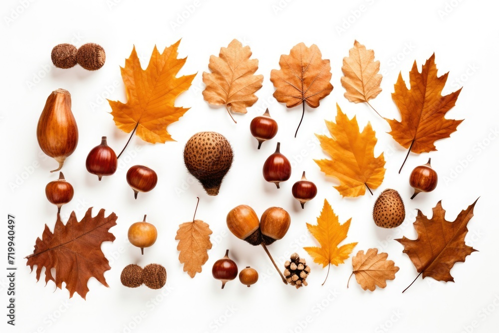 Poster a collection of autumn leaves and nuts displayed on a white surface. can be used for seasonal or nat
