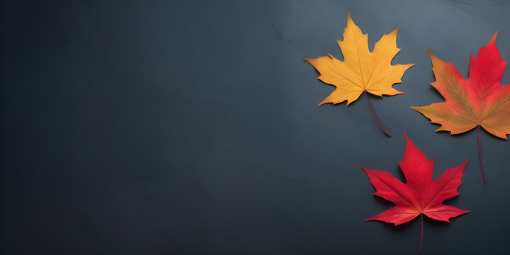 Autumn Elegance: Top-View Composition of Red Leaves on a Blue Slate Background with Copy Space