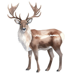 AI-generated watercolor Reindeer clip art illustration. Isolated elements on a white background.