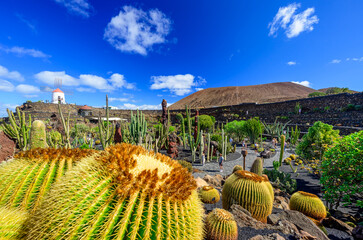 Jardin de Cactus garden on Lanzarote island - Canaries - Spain - obrazy, fototapety, plakaty
