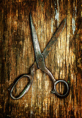 Old Scissors closeup