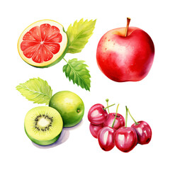 watercolor painting of summer fruits four collection