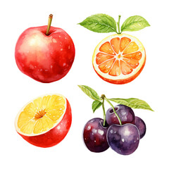 watercolor painting of summer fruits four collection