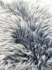 Gray fur as an abstract background. Texture