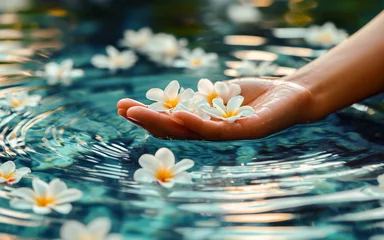 Poster A serene image of a hand gently holding floating plumeria flowers in a calm water setting, symbolizing peace and relaxation. © apratim