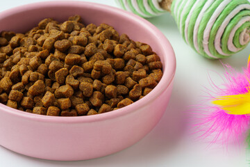 Bowl with dry pet food isolated on white background