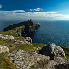 Nest Point