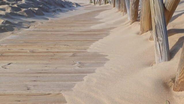 A strong wind gradually sweeps sand across a wooden path on the beach