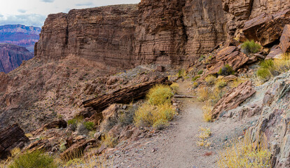 Fallen Sandstone Boulders  Along The Clear Creek Trail, Grand Canyon National Park, Arizona, USA