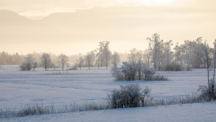 Winterlandschaft