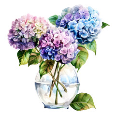 watercolor hydrangea clipart for graphic Isolated