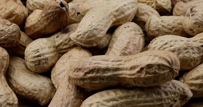 Macro video close up of peanuts with shell in rotating motion on a turntable