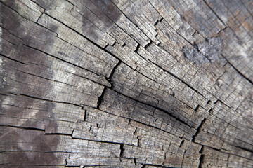 The background of wood and decorative wooden products