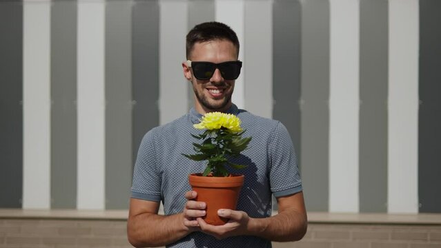 Attractive caucasian man looks at camera with bright flower in his hands outdoor. Demonstration of gift by seductive guy in sunglasses at sunny hot resort. Chrysanthemum in eco-friendly clay pot.