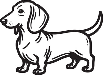 dachshund dog pet cartoon outline white background, line art illustration