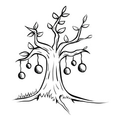 Olive Tree Vector Line Art Black and White Illustration