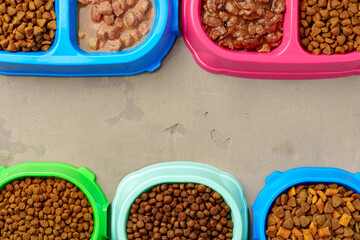 Plastic pet bowl with food on gray background