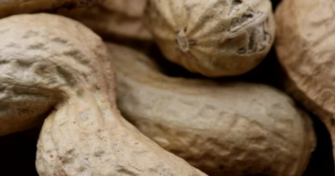 Extreme close up video of naturally peanuts with shell in rotating motion