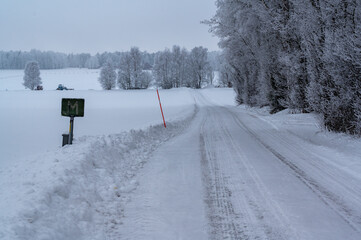 Winter road through forest with frozen trees