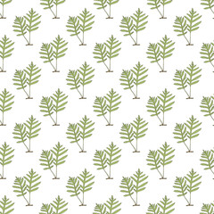 Seamless pattern with Sensitive, or bead fern