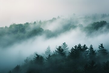 Photography of Fog
