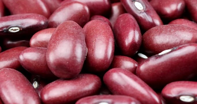Macro video of red-brown kidney beans close-up in rotating motion