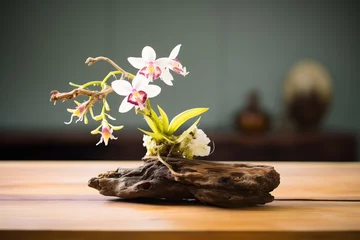 Fototapeten mounting an orchid on a piece of driftwood © studioworkstock