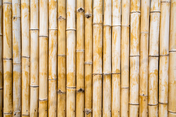 Bali's beautiful landscapes and street scenes