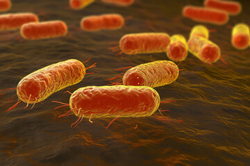 microscopic image of long bacteria close-up