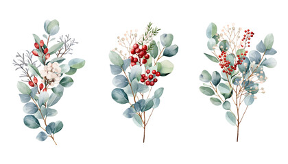 Botanical bouquet illustration set.  Beautiful eucalyptus and red berry bunch on white background. Red, white, green branch and leaves. Vector illustration