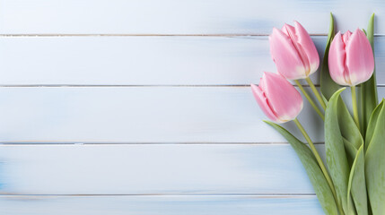 Three delicate pink tulips
