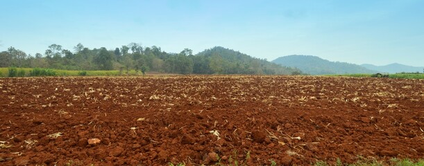 panorama agricultural landscape in the countryside