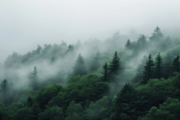 Obraz premium Photography of Mist
